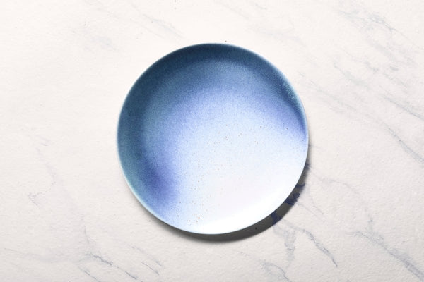 Ariane 10 5/8" Lir Porcelain Coupe Elevated Plate - 12/Case (AVCARND65111027) - iFoodservice Online