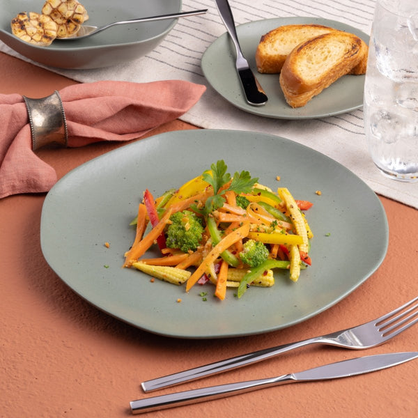 Ariane Earth 10 5/8" Earth - Mist Green Dots Porcelain Flate Plate - 6/Case (AERARN511011027) - iFoodservice Online