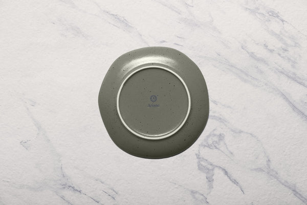 Ariane Earth 10 5/8" Earth - Mist Green Dots Porcelain Flate Plate - 6/Case (AERARN511011027) - iFoodservice Online