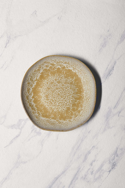 Ariane Earth 9" Mohenjodaro Porcelain Deep Plate - 6/Case (AERARNC98012023) - iFoodservice Online