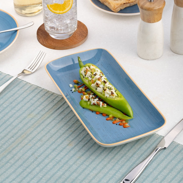 Ariane Gn 11'' x 5 1/2'' Twister Blue Porcelain Rectangle Plate - 6/Case (AGNARN264011028) - iFoodservice Online
