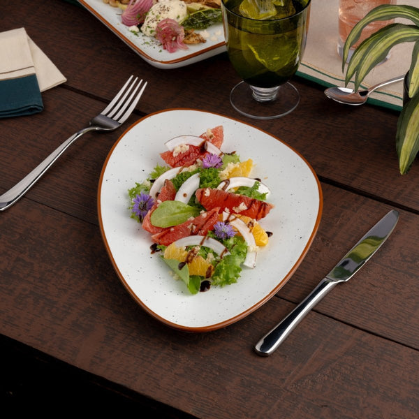 Ariane Island 11 3/7" Terra Arena White Porcelain Triangle Plate - 6/Case (AISARN205011029) - iFoodservice Online