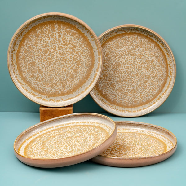 Ariane Island 9 5/6" Mohenjodaro Porcelain Organic Plate - 4/Case (AISARNC98111025) - iFoodservice Online