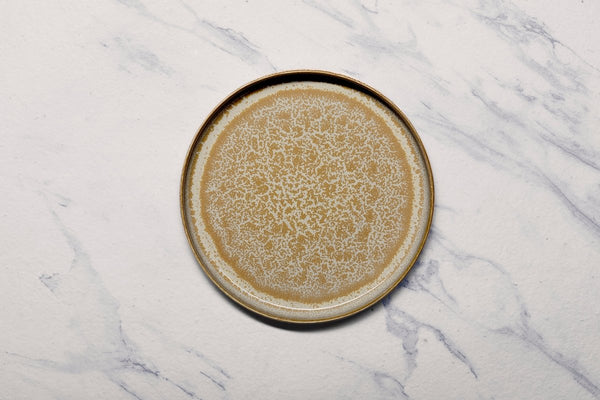 Ariane Island 9 5/6" Mohenjodaro Porcelain Organic Plate - 4/Case (AISARNC98111025) - iFoodservice Online