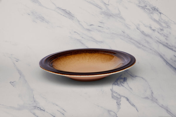 Ariane Laps 10 1/4" Sahara Porcelain Deep Plate - 6/Case (ALPARND63012026) - iFoodservice Online