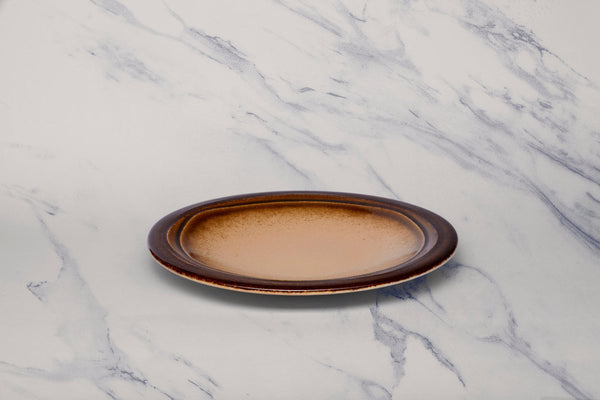 Ariane Laps 9 4/9" Sahara Porcelain Flat Plate - 12/Case (ALPARND63011024) - iFoodservice Online