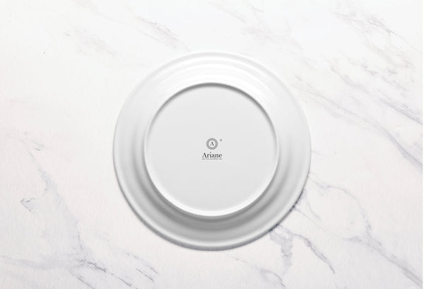 Ariane Prime 10 5/8" Prime - Warm White Porcelain Flat Plate Banquate Small Rim - 12/Case (APRARN000018027) - iFoodservice Online