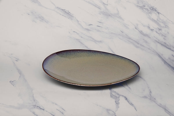 Ariane Vital Coupe 10 5/8" Splash Beige Porcelain Elevated Plate - 12/Case (AVCARN257111027) - iFoodservice Online