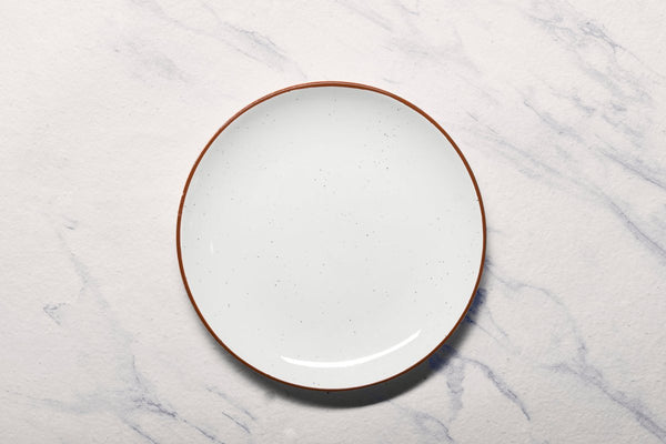 Ariane Vital Coupe 10 5/8" Terra Arena White Porcelain Coupe Round Rimless Plate - 6/Case (AVCARN205011027) - iFoodservice Online