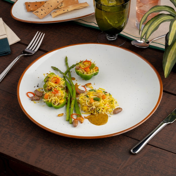 Ariane Vital Coupe 11 3/7" Terra Arena White Porcelain Coupe Round Rimless Plate - 6/Case (AVCARN205011029) - iFoodservice Online