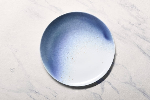 Ariane Vital Coupe 11 3/7" White Porcelain Coupe Elevated Plate - 6/Case (AVCARND65111029) - iFoodservice Online