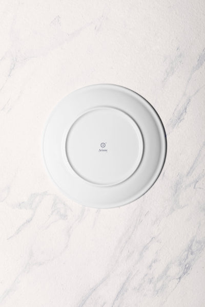 Ariane Vital Coupe 9 4/9" Twister Mokka Dark Brown Porcelain Coupe Round Rimless Plate - 6/Case (AVCARN263011024) - iFoodservice Online