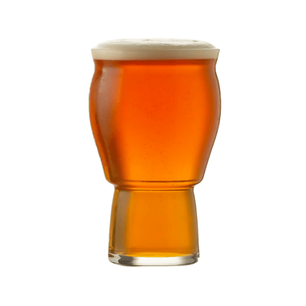 Hospitality Brands Revolution Grand 16 oz. Beer (Pack of 24) HGJ2808 - 024 - iFoodservice Online