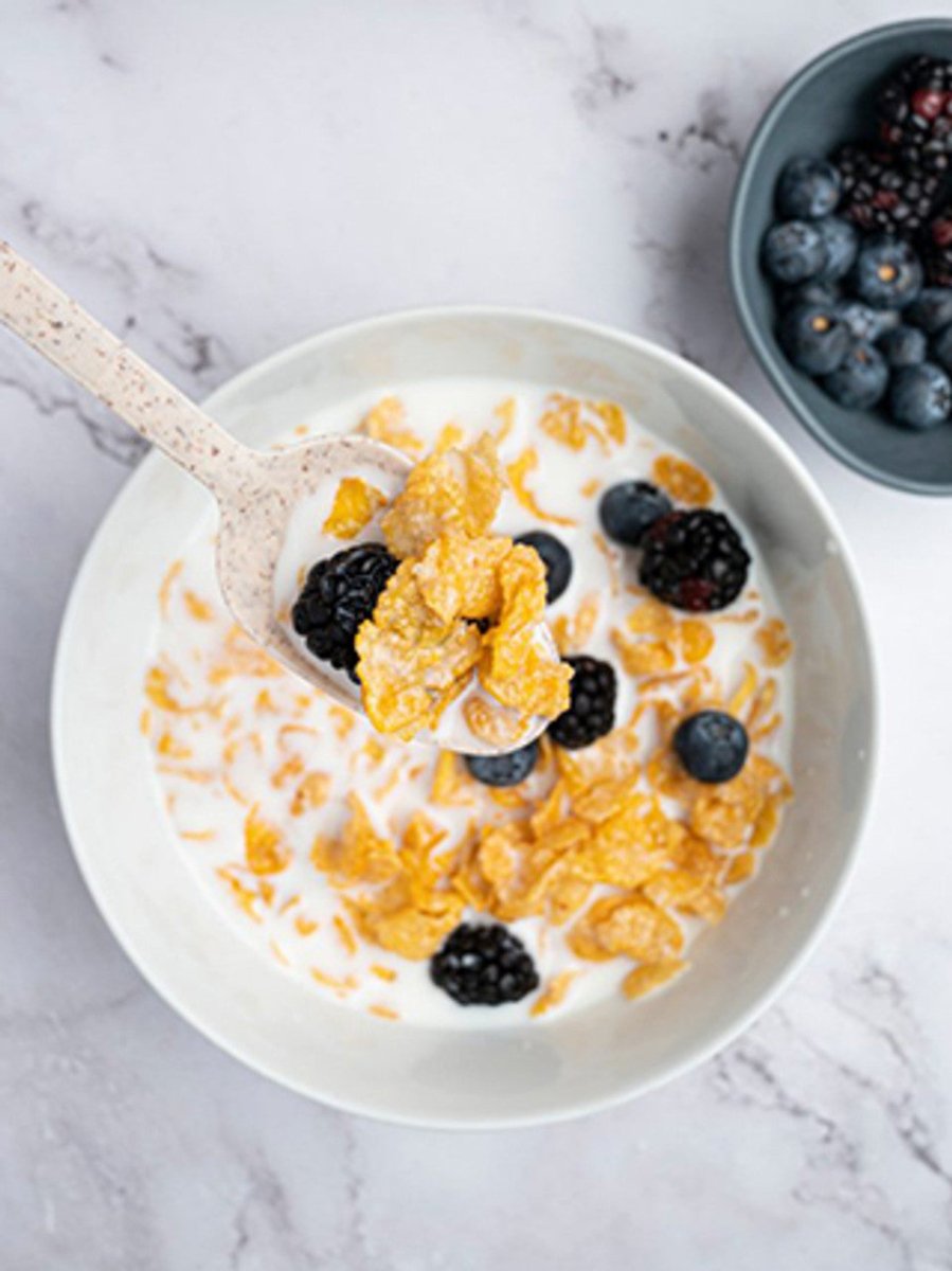 Plantar Agave Bulk Natural Spoon Pack 1000(BNAS1000) - iFoodservice Online