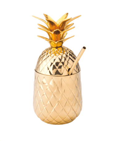 Hospitality Brands 20 oz. Hawaii Gold Pineapple (HB92061 - 001) - iFoodservice Online