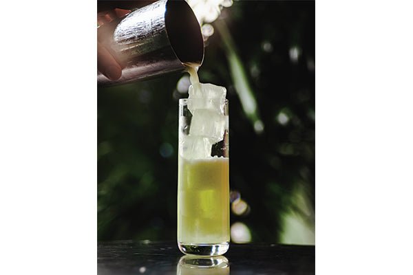 Hospitality Brands Borough Hi Ball (Pack of 4) HGLBG04 - 004 - iFoodservice Online