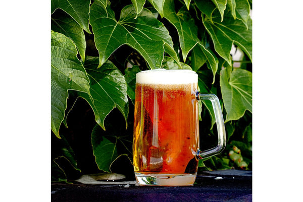 Hospitality Brands Bullet Mug (Pack of 6) HGU50831 - 006 - iFoodservice Online