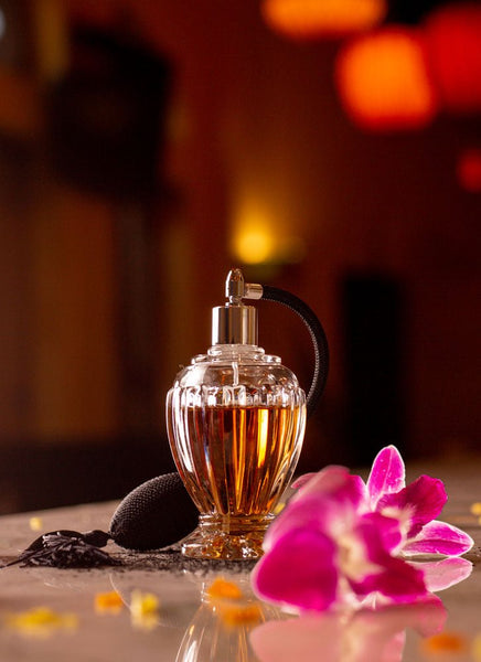 Hospitality Brands Eros Atomizer HGBDV100 - 001 - iFoodservice Online