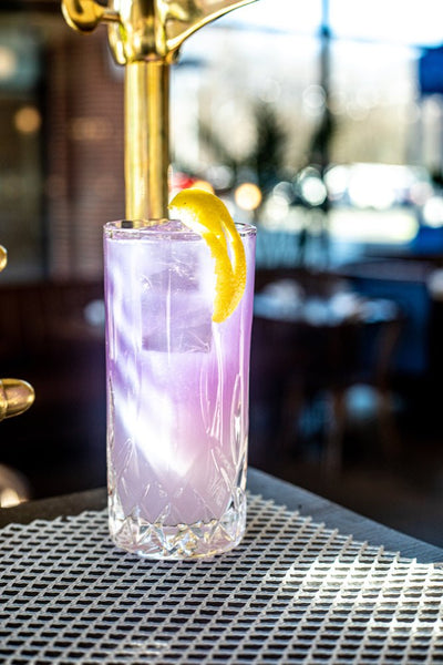 Hospitality Brands Opera Hi Ball (Pack of 12) HGR25860 - 012 - iFoodservice Online