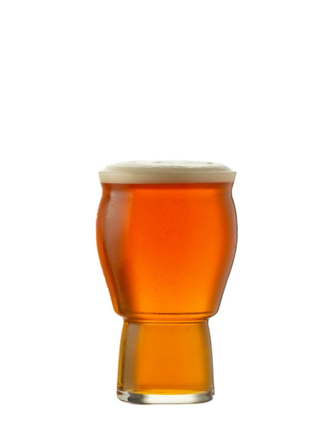 Hospitality Brands Revolution Grand 16 oz. Beer (Pack of 24) HGJ2808 - 024 - iFoodservice Online