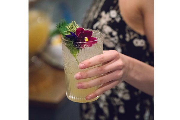 Hospitality Brands Rosetti Hi Ball (Pack of 24) HG90079 - 024 - iFoodservice Online