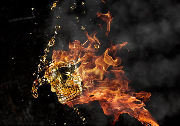 Hospitality Brands Skull Shot (Pack of 24) HG90206 - 024 - iFoodservice Online