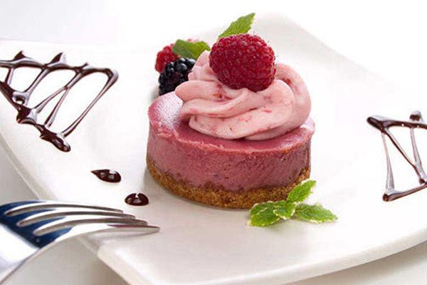 Louis Tellier Silikomart - Siliconflex Mold, Cylinder (SF028) - iFoodservice Online