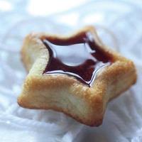 Louis Tellier Silikomart - Star Terracotta Mold (SF107) - iFoodservice Online