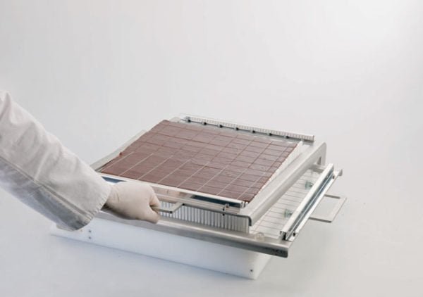 Matfer Bourgeat Double Guitar Candy Slicer Base Only (263540) - iFoodservice Online