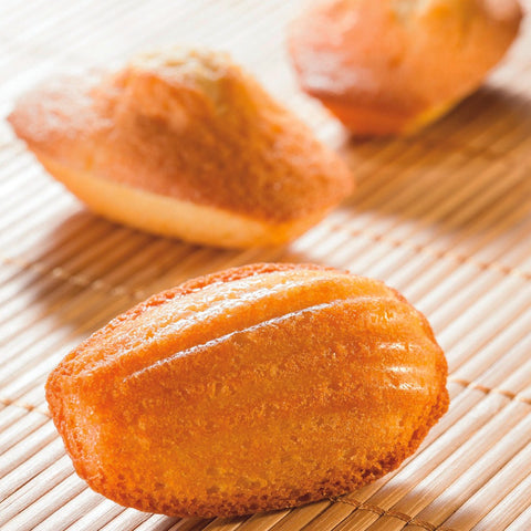 Matfer Bourgeat Flexipan Mini - madeleines Mold (336046) - iFoodservice Online