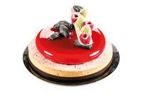 Silikomart Kit Tarte Ring Ø150 Mm - Set Silicone Mould Ø122 Mm + 2 Rings (Pack of 5) Kit Tart Ring 15 - iFoodservice Online